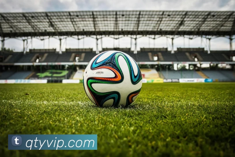 趣体育官网APP 封面图